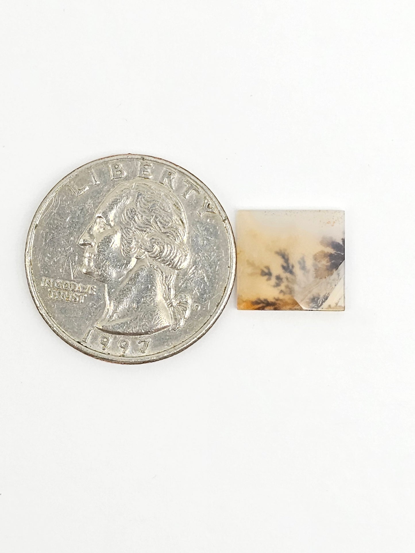 Scenic Dendritic Agate Cabochon – Natural Landscape Stone