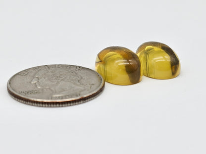 Amber cabochon pair | Artisan Cut Gemstone