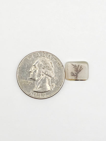 Scenic Dendritic Agate Cabochon – Natural Landscape Stone