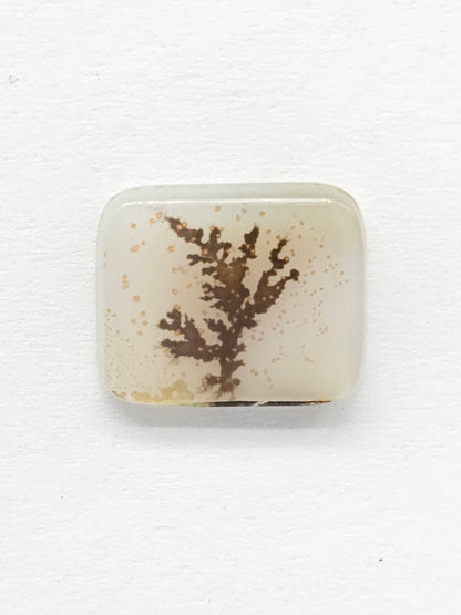 Scenic Dendritic Agate Cabochon – Natural Landscape Stone