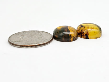Amber cabochon pair | Artisan Cut Gemstone