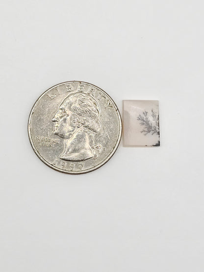 Scenic Dendritic Agate Cabochon – Natural Landscape Stone