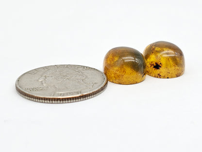 Amber cabochon pair | Artisan Cut Gemstone