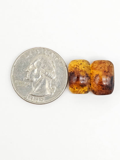 Amber cabochon pair | Artisan Cut Gemstone