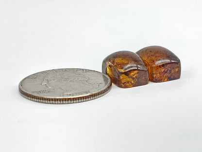 Amber cabochon pair | Artisan Cut Gemstone