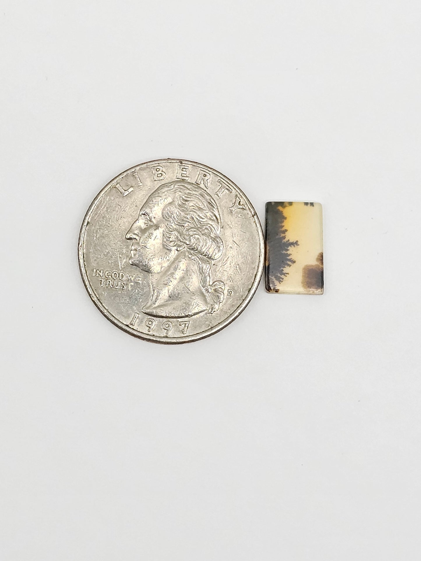 Scenic Dendritic Agate Cabochon – Natural Landscape Stone