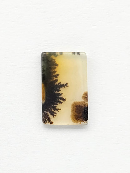 Scenic Dendritic Agate Cabochon – Natural Landscape Stone