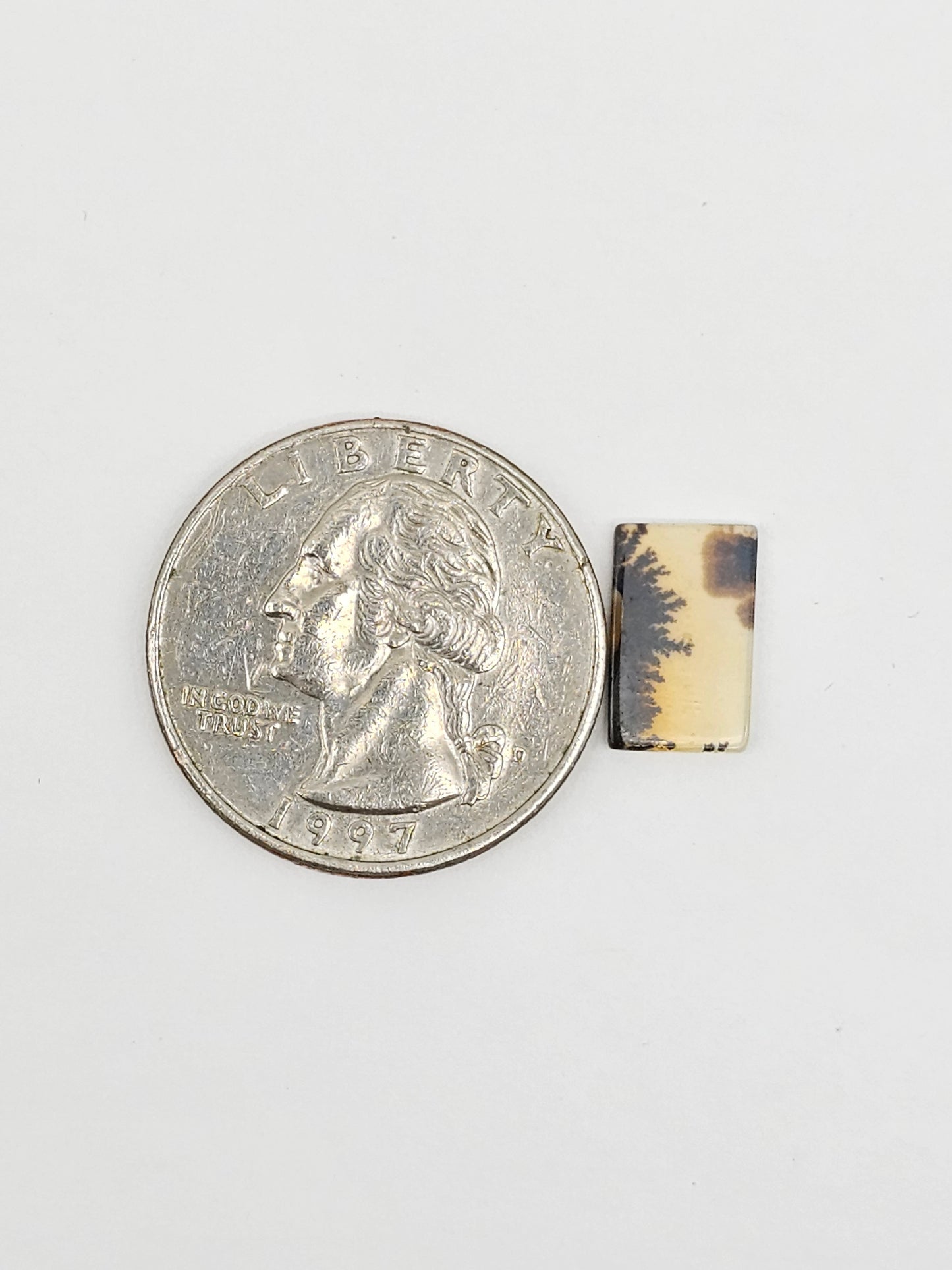 Scenic Dendritic Agate Cabochon – Natural Landscape Stone