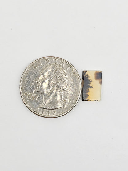 Scenic Dendritic Agate Cabochon – Natural Landscape Stone