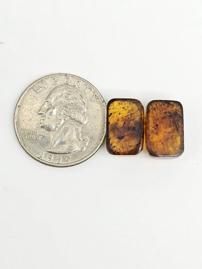 Amber cabochon pair | Artisan Cut Gemstone