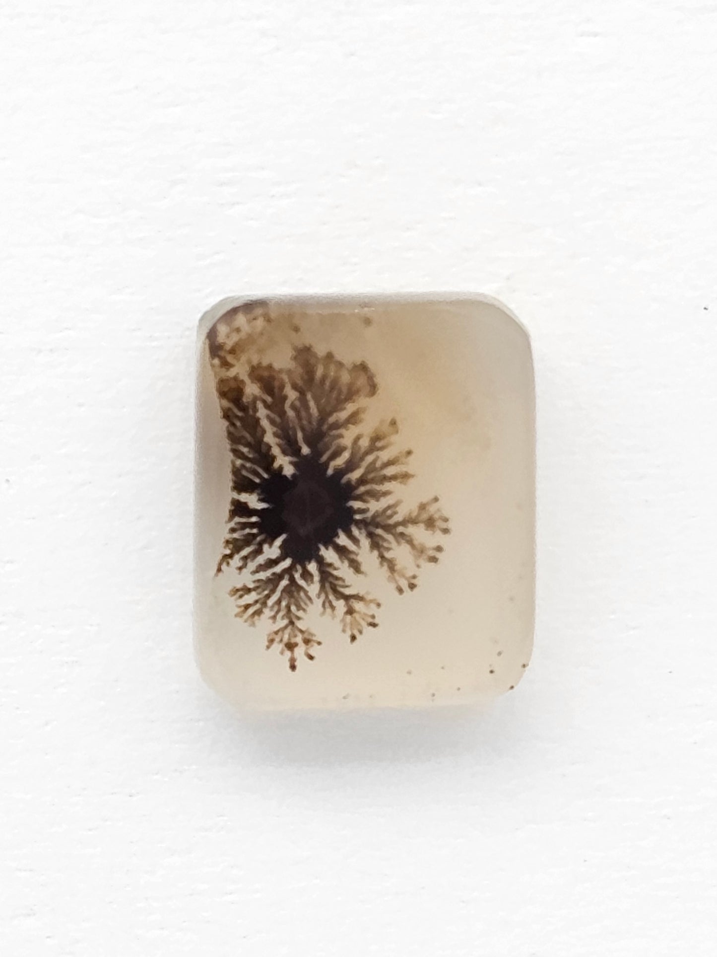 Scenic Dendritic Agate Cabochon – Natural Landscape Stone