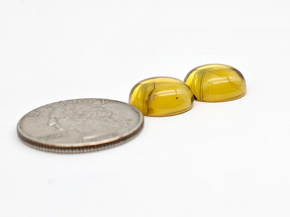 Amber cabochon pair | Artisan Cut Gemstone