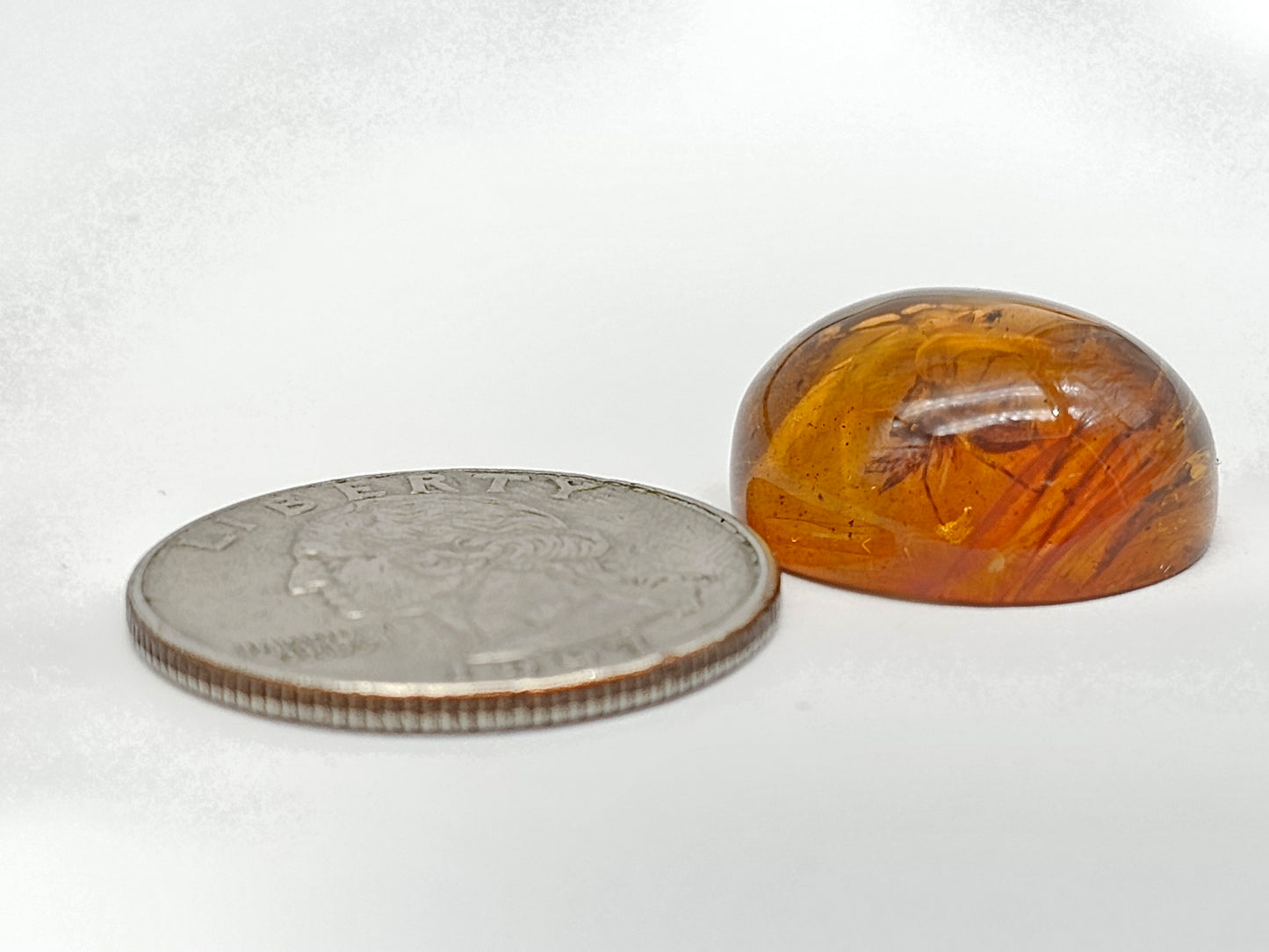 Real amber with insect inclusion