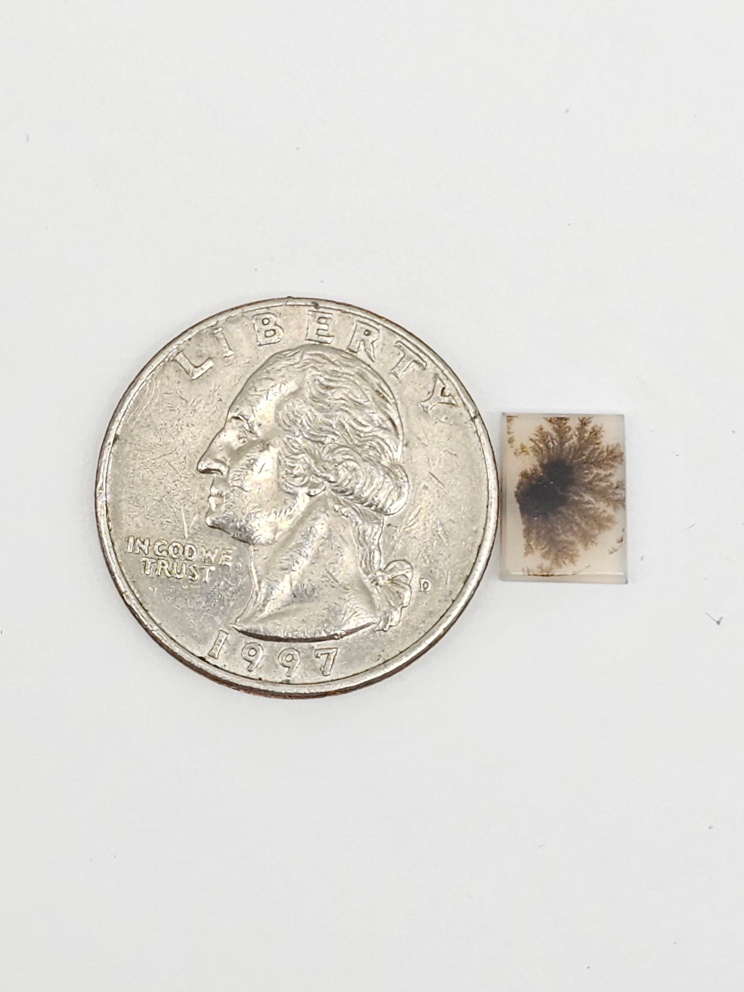 Scenic Dendritic Agate Cabochon – Natural Landscape Stone