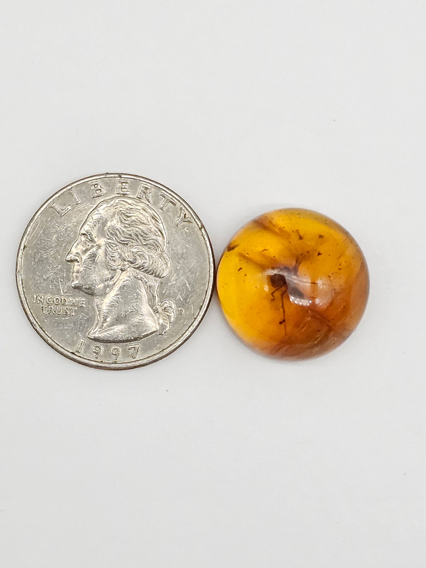 Real amber with insect inclusion