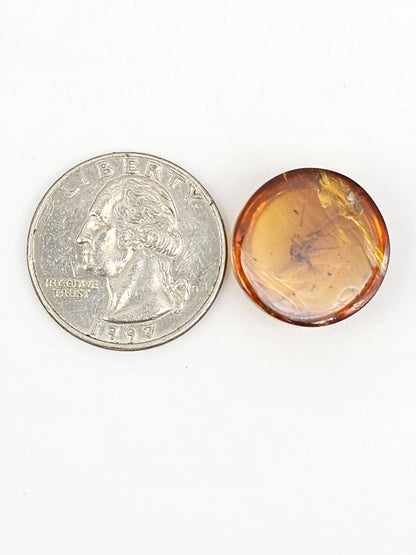 Real amber with insect inclusion