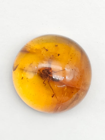 Real amber with insect inclusion