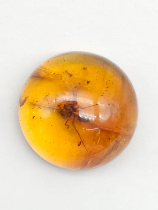 Real amber with insect inclusion