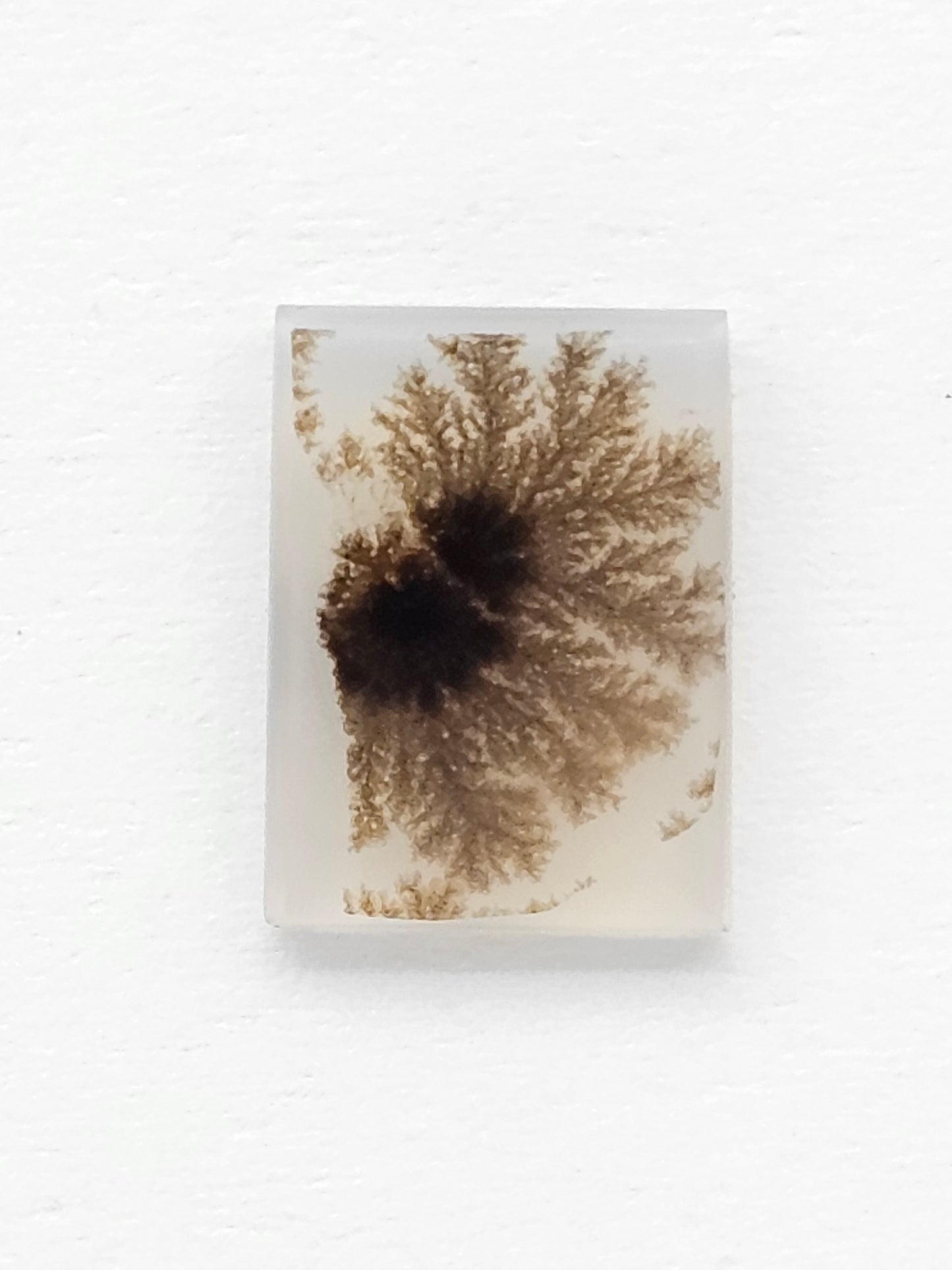 Scenic Dendritic Agate Cabochon – Natural Landscape Stone