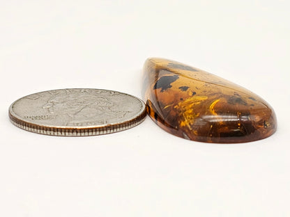 Real amber with insect inclusion