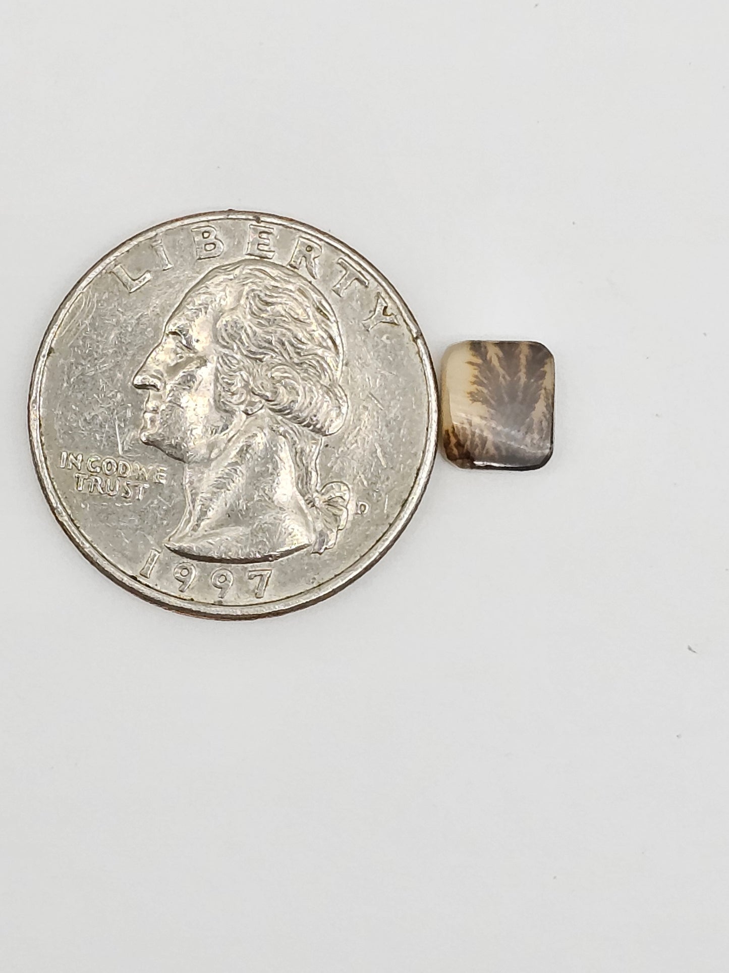 Scenic Dendritic Agate Cabochon – Natural Landscape Stone