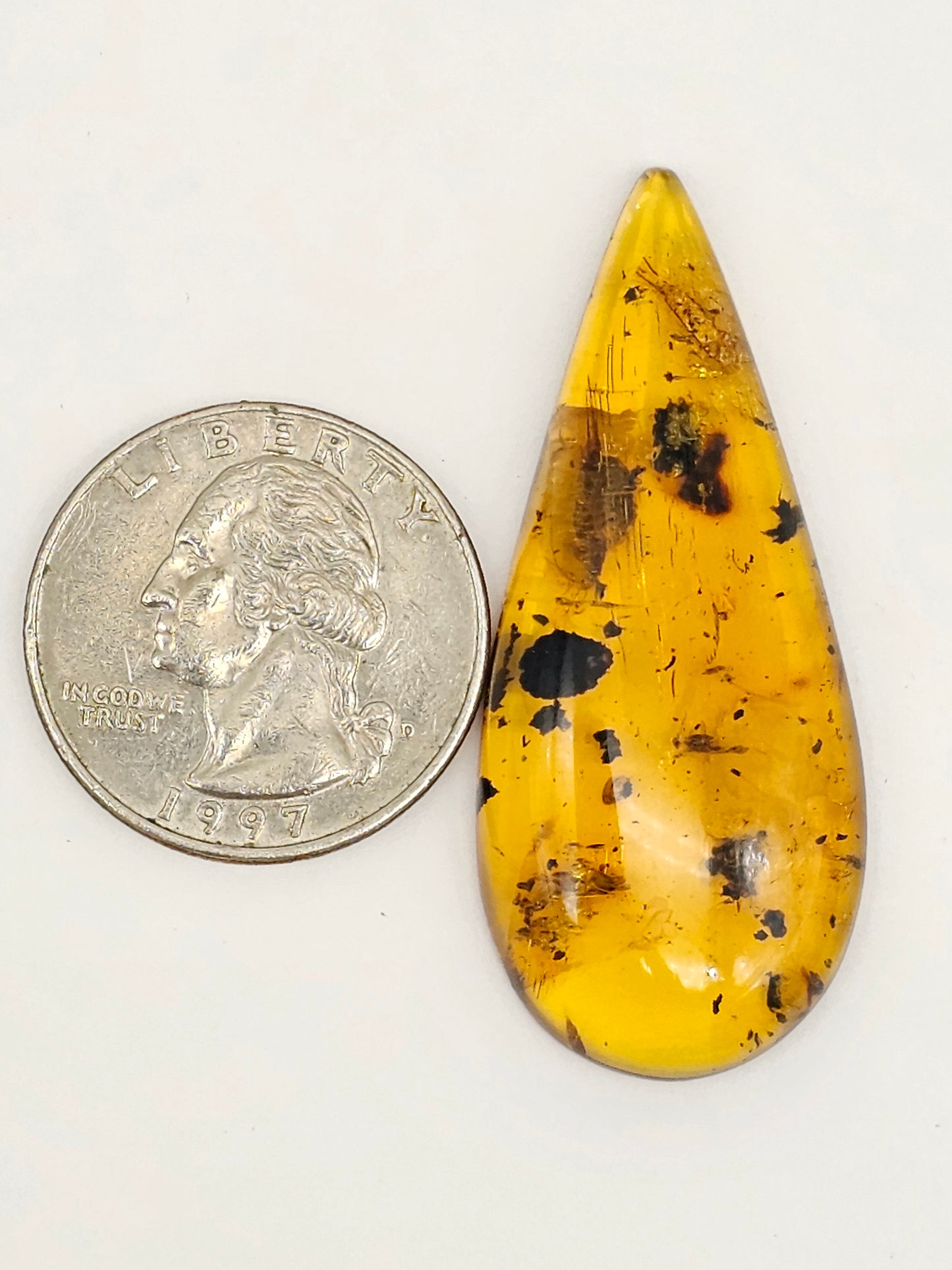 Real amber with insect inclusion