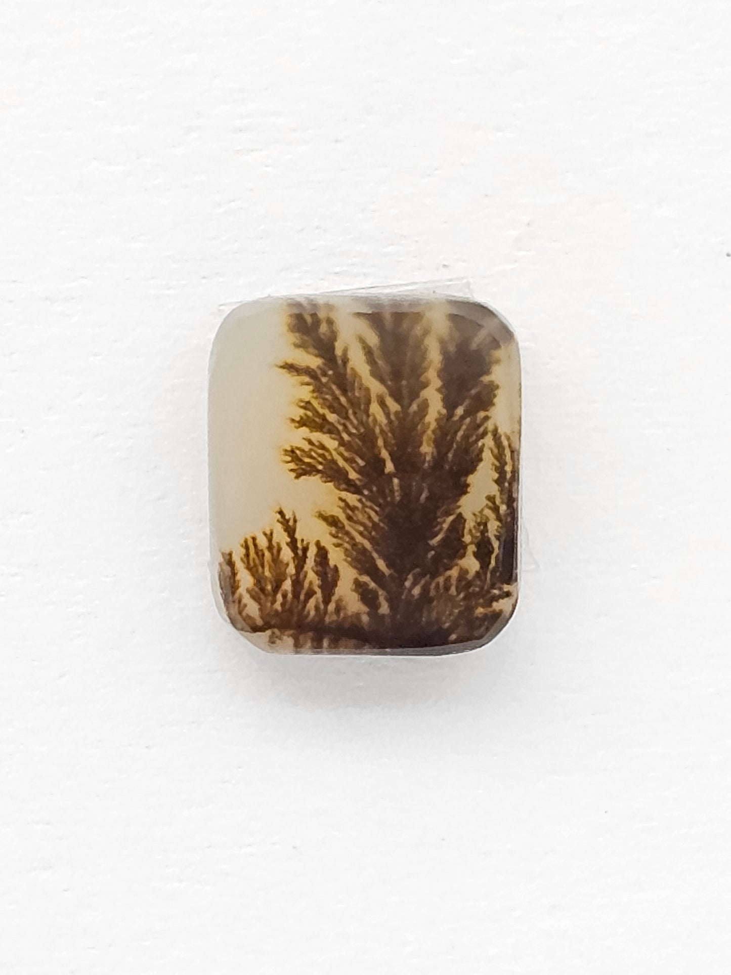 Scenic Dendritic Agate Cabochon – Natural Landscape Stone