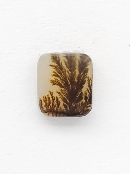Scenic Dendritic Agate Cabochon – Natural Landscape Stone