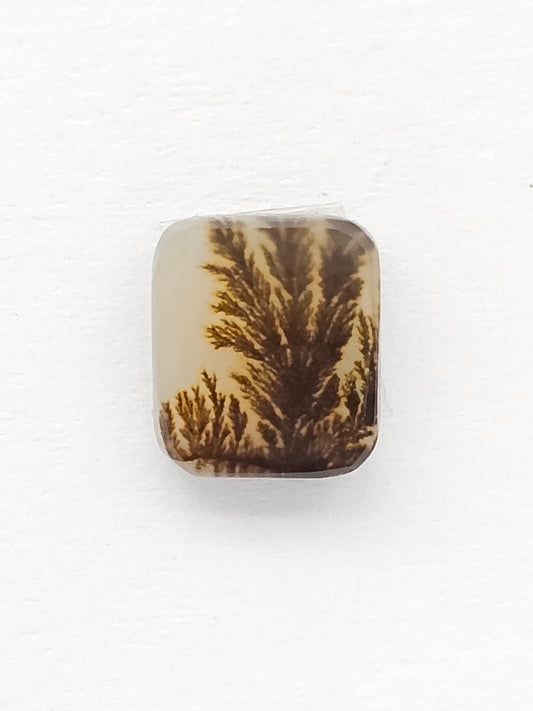 Scenic Dendritic Agate Cabochon – Natural Landscape Stone