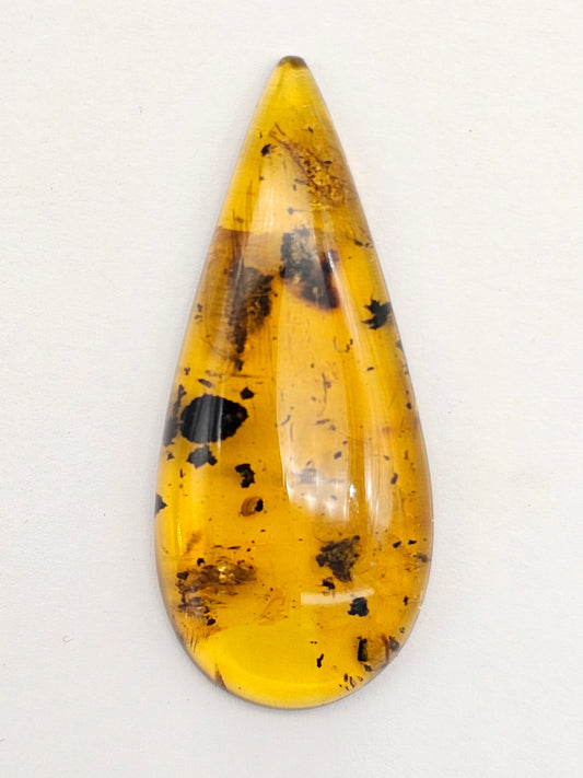 Real amber with insect inclusion