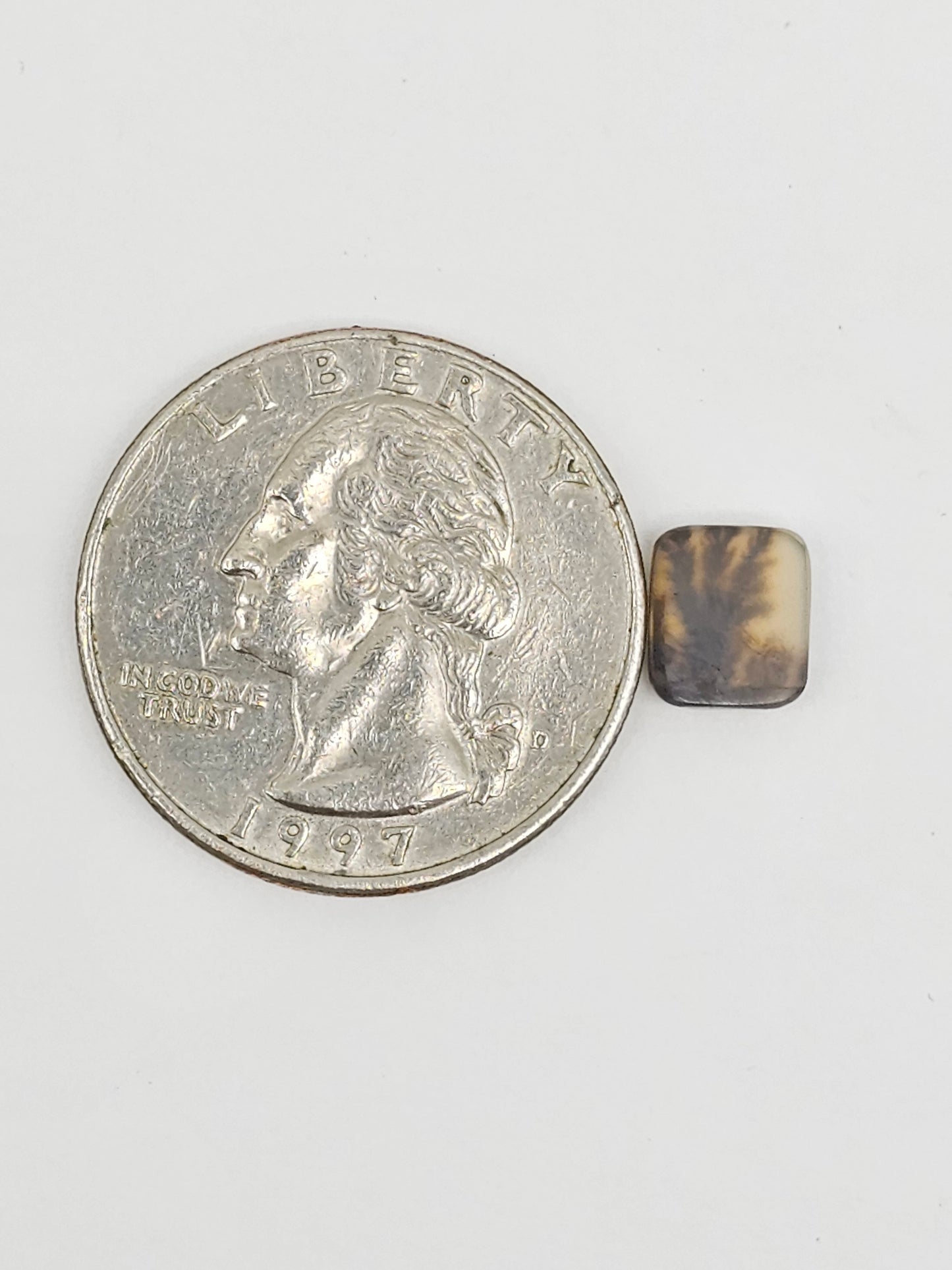 Scenic Dendritic Agate Cabochon – Natural Landscape Stone