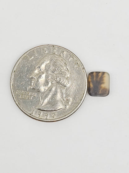Scenic Dendritic Agate Cabochon – Natural Landscape Stone