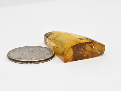 Real amber with insect inclusion