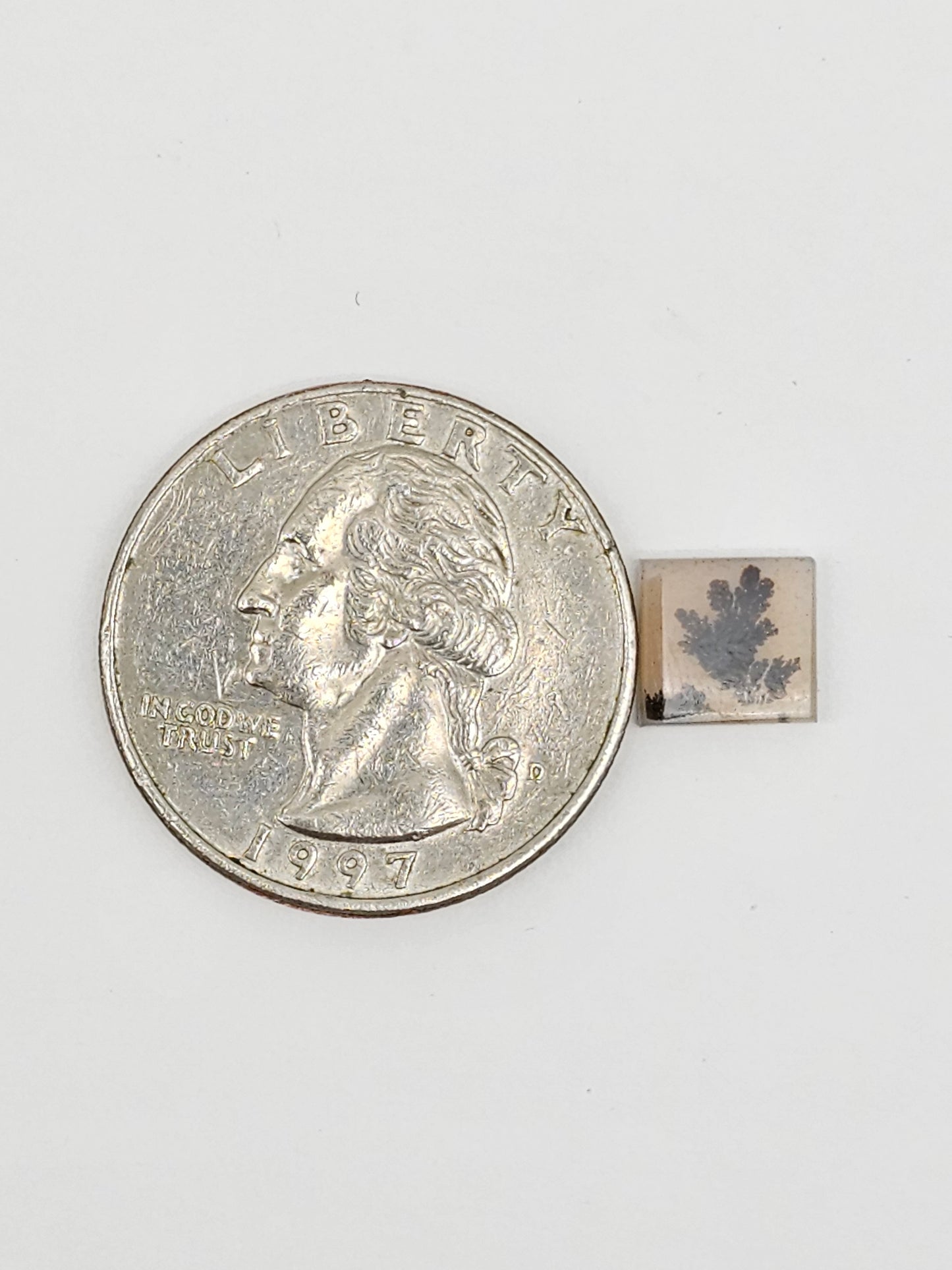 Scenic Dendritic Agate Cabochon – Natural Landscape Stone
