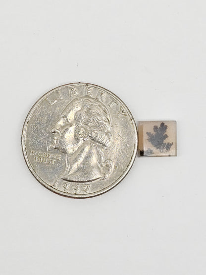 Scenic Dendritic Agate Cabochon – Natural Landscape Stone