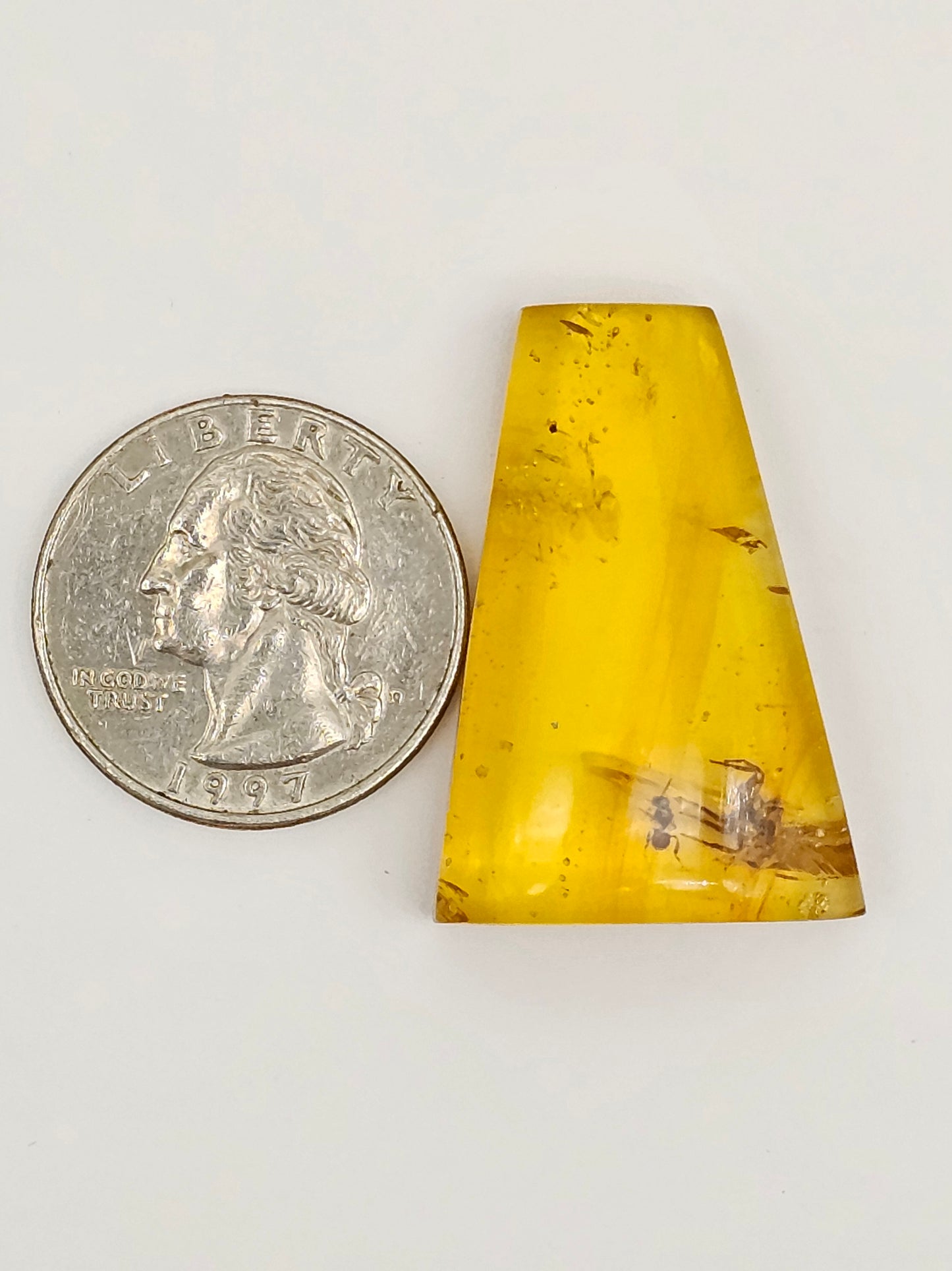 Real amber with insect inclusion