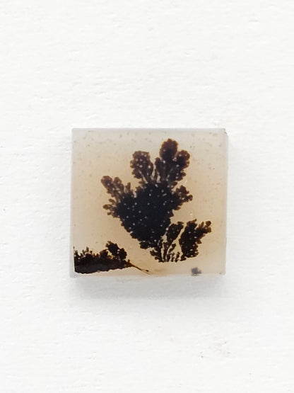 Scenic Dendritic Agate Cabochon – Natural Landscape Stone