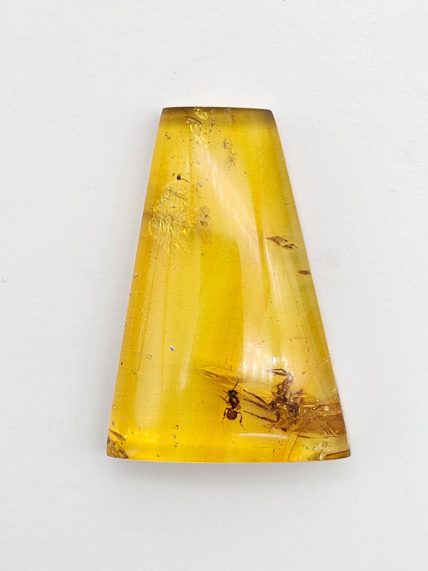 Real amber with insect inclusion