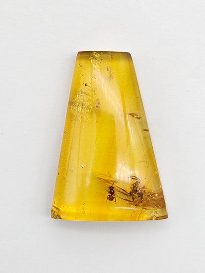 Real amber with insect inclusion