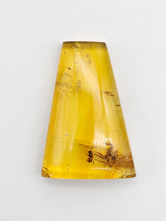 Real amber with insect inclusion