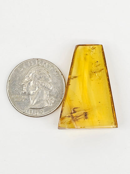 Real amber with insect inclusion