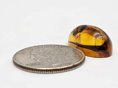 Real amber with insect inclusion