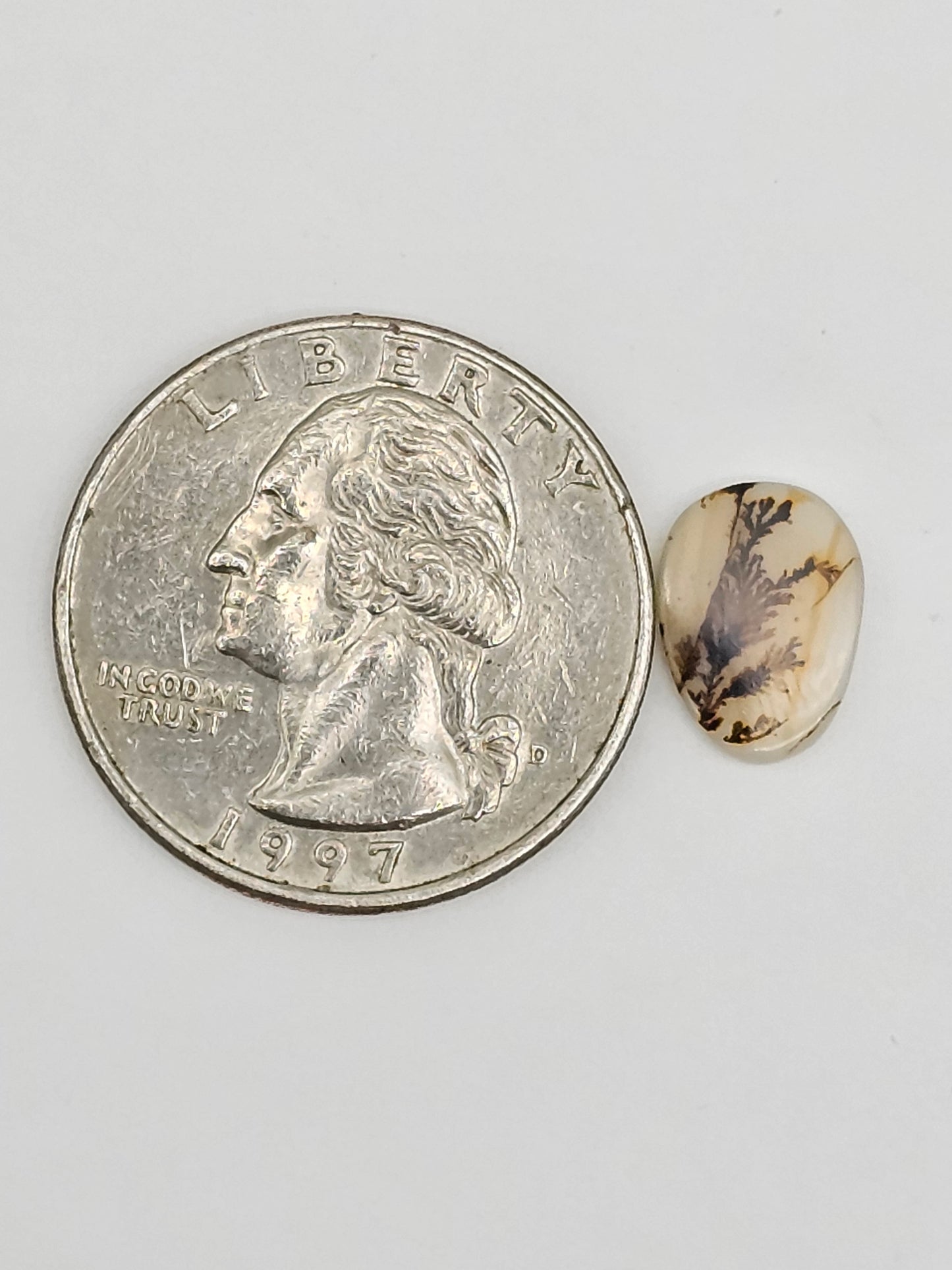 Scenic Dendritic Agate Cabochon – Natural Landscape Stone