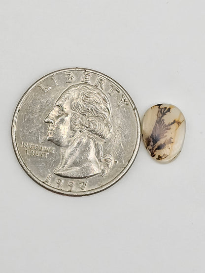 Scenic Dendritic Agate Cabochon – Natural Landscape Stone