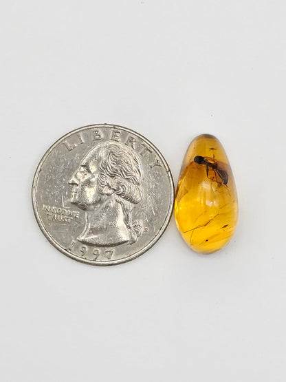 Real amber with insect inclusion