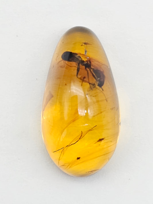 Real amber with insect inclusion