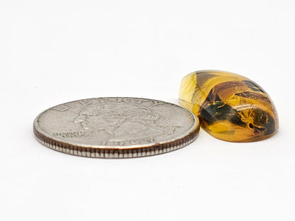 Real amber with insect inclusion