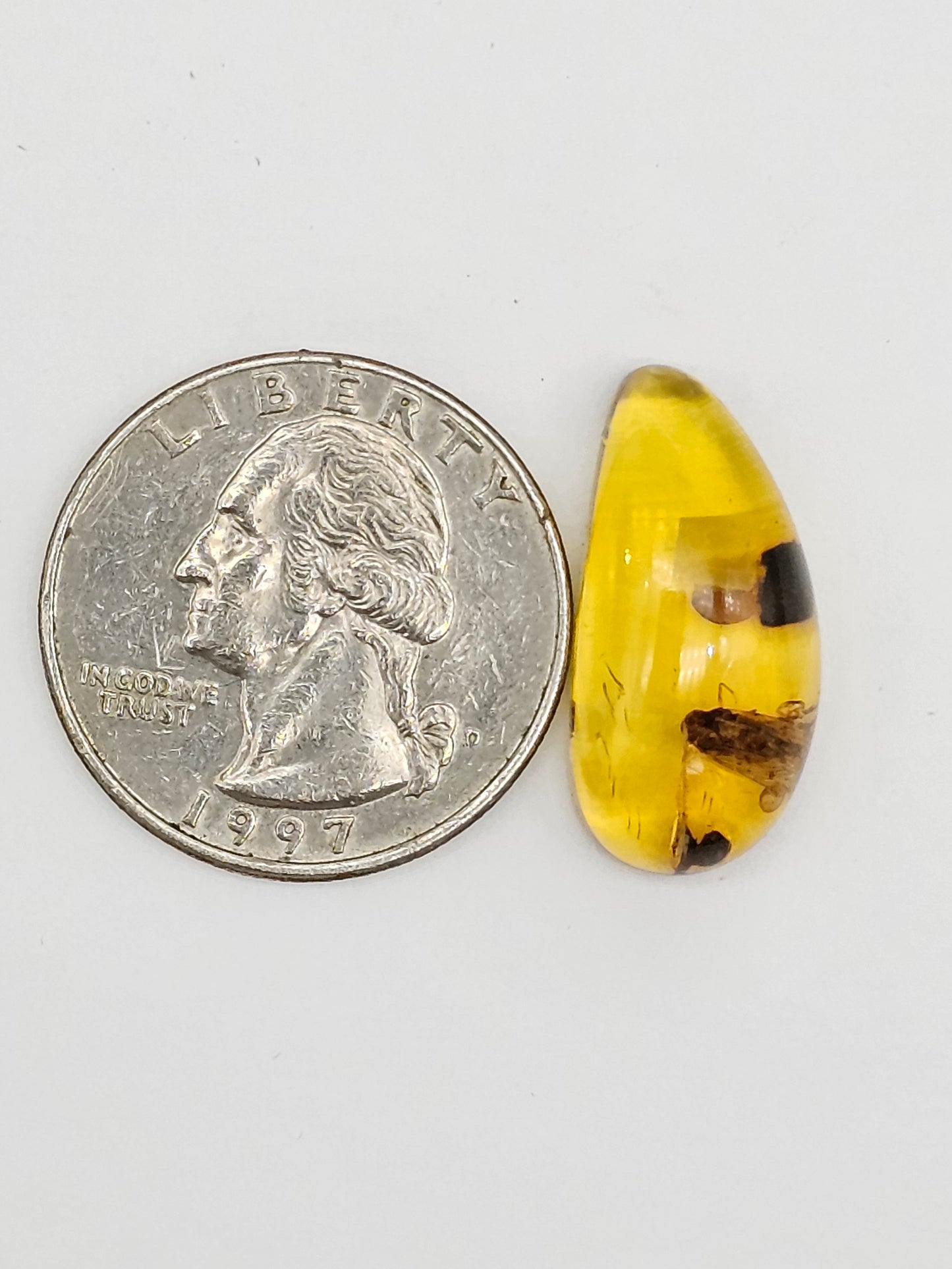 Real amber with insect inclusion