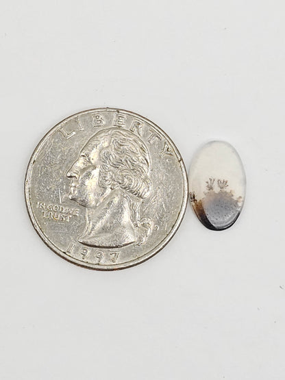 Scenic Dendritic Agate Cabochon – Natural Landscape Stone