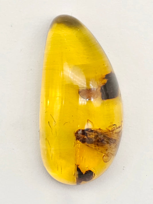 Real amber with insect inclusion